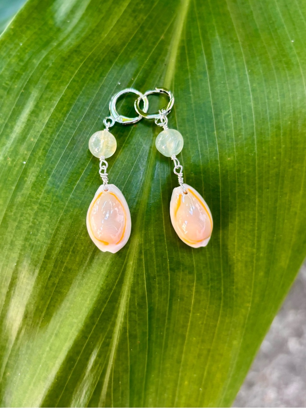 Prehnite and Cowrie Drop Earrings